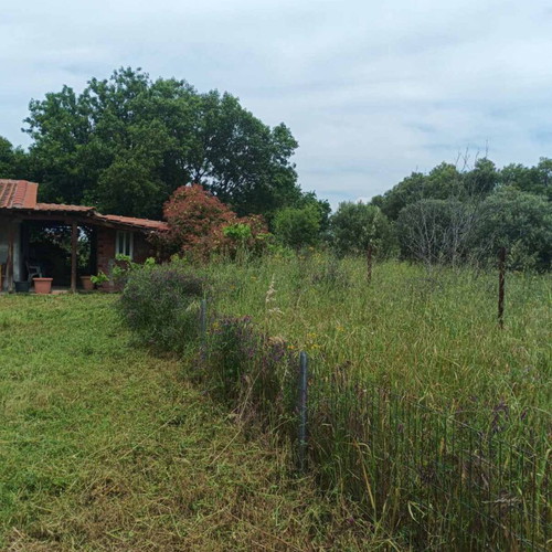Detached house in Vergia Halkidiki with garden near sea