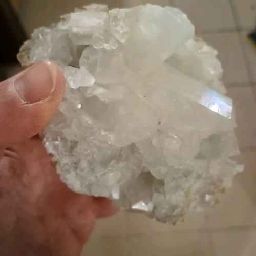 Cactus quartz new