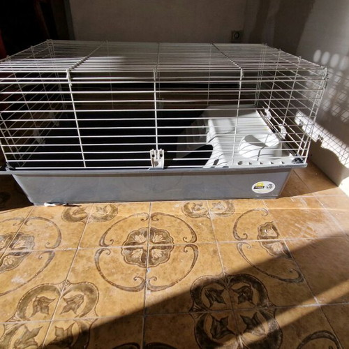 Rodent transport and housing cage like new