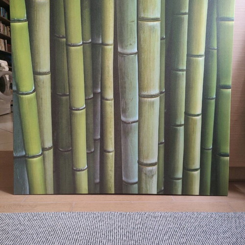 Πίνακας φωτογραφία bamboo σαν καινούργιο 90x90 εκ.