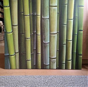 Πίνακας φωτογραφία bamboo