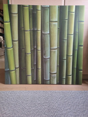 Πίνακας φωτογραφία bamboo σαν καινούργιο 90x90 εκ.