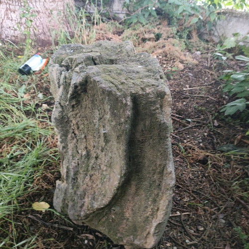 Fossilized tree trunk like new, large size