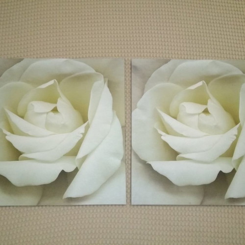 Canvas used with white rose 56x56