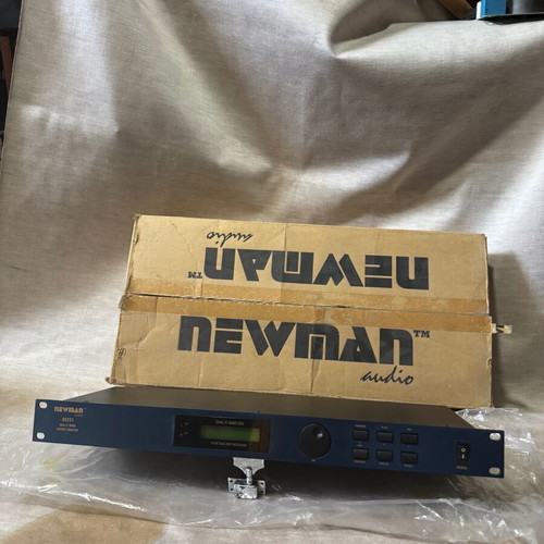 Newman DS231 Digital Speaker Processor Crossover new