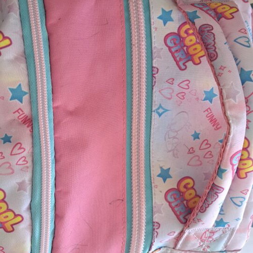 Must Cool Girl school backpack trolley used