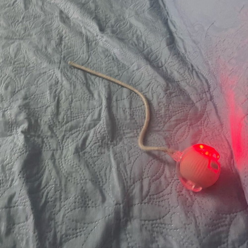 Interactive cat toy like new, rechargeable running ball