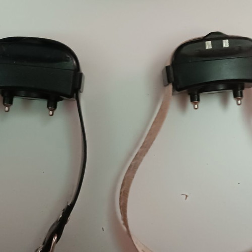 Electric dog training collars used, pack of 2 with remote and charger