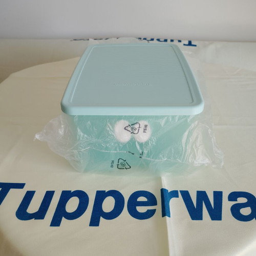 Smart Cooling Container 1.6L new