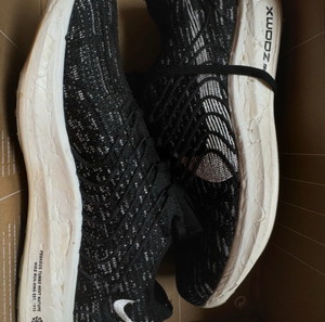 Nike Pegasus Turbo Next Nature