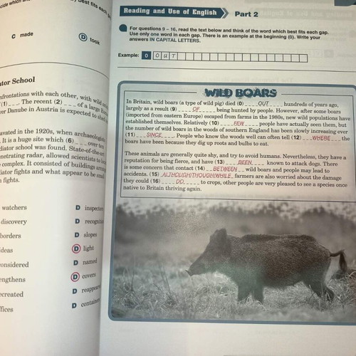 11 Complete Practice Tests Cambridge FCE Teacher's Book and Audio CDs like new