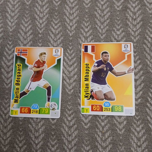 UEFA Euro 2024 Germany cards used