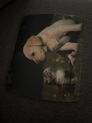Mousepad with dog and kitten new