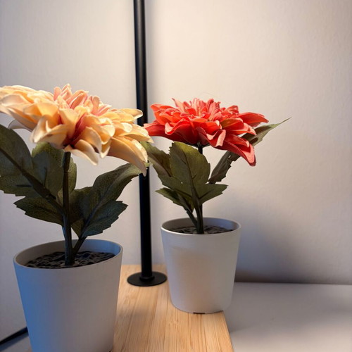 Decorative plants from IKEA, new, set of 2