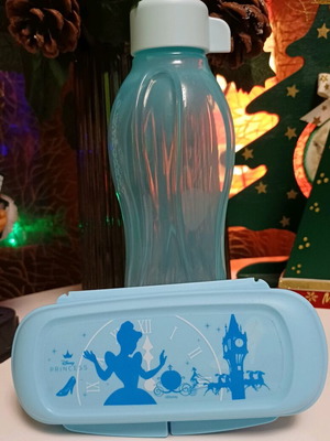 Princess container with 500ml bottle Tupperware new