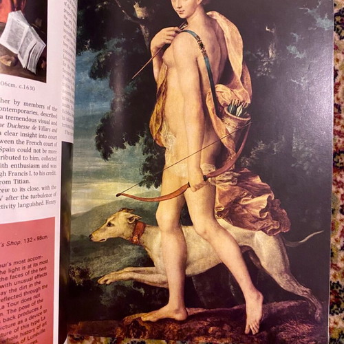 French Painting book used, English
