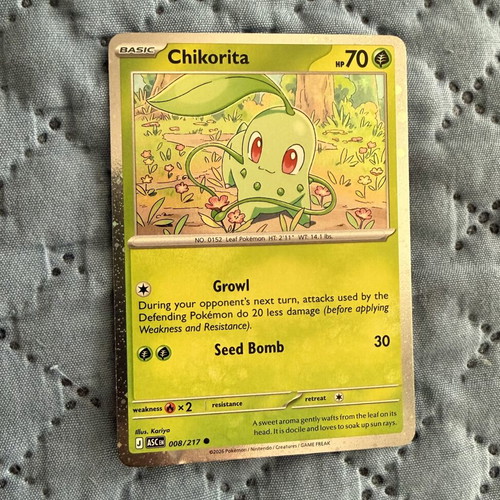 Chikorita Cosmos Holo 008/217 Ascended Heroes card new