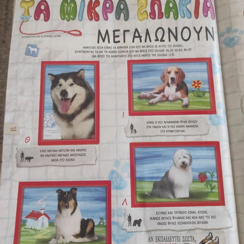Panini album Our Friends the Animals used 2018