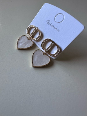 Steel earrings new