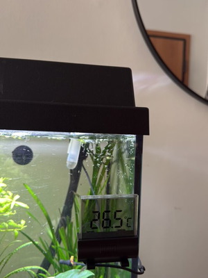 Juwel Primo 70L aquarium with original stand and extra Aquael LED light