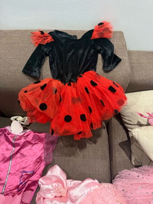 Αποκριάτικη στολή για 2 χρονών καινούργια