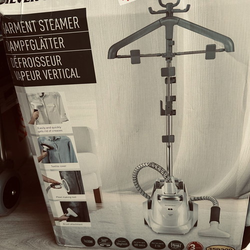 Vertical garment steamer with hanger and accessories