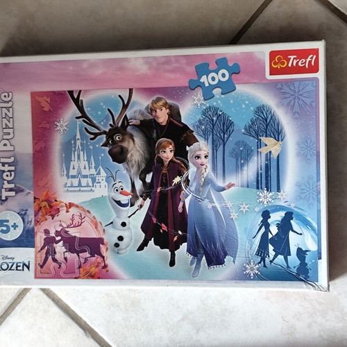 Frozen children's puzzle used