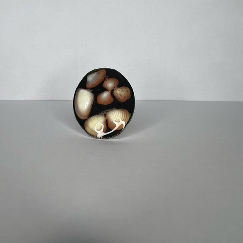 Ring with liquid glass like new, multicolor, handmade with real shells
