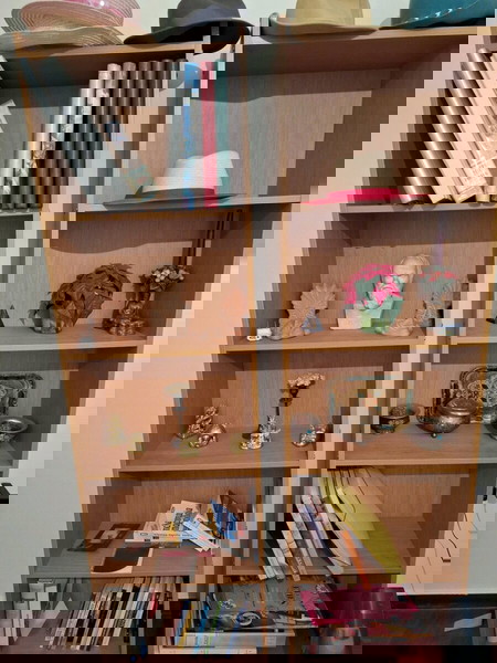 πωληση    2  βιβλιοθηκες
