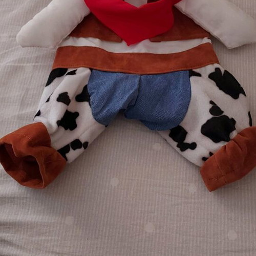 Pet clothing like new, for small dog