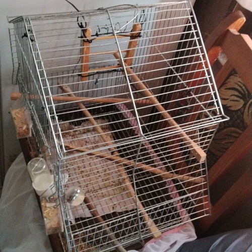 Birdcage for small and medium birds with house-shaped roof and accessories