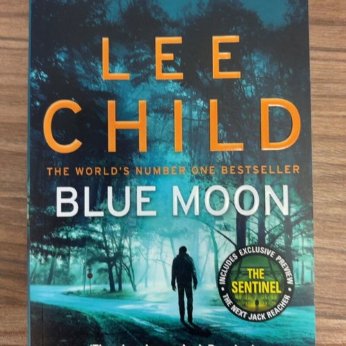 Blue Moon Jack Reacher 24 novel by Lee Child