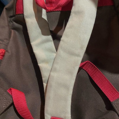 Children's bag used for kindergarten with monkeys