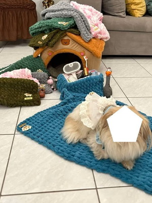 Handmade pet set with Alize Puffy yarn hypoallergenic