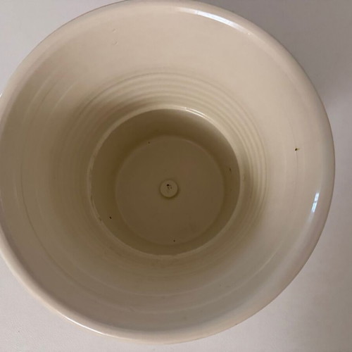 Beige ceramic flowerpot and new