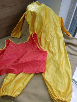 Carnival costume size 4 like new