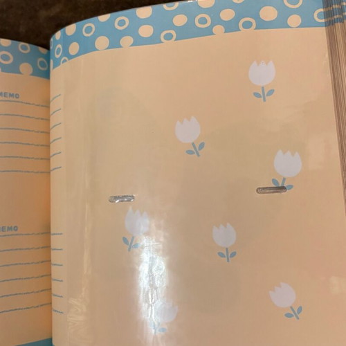 Photo albums in two different designs like new