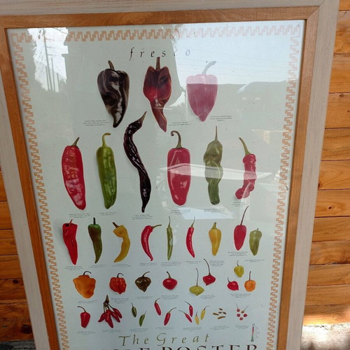 The Great Chilli Poster framed print like new