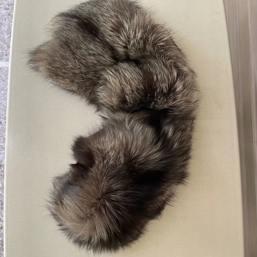 Fox fur collar silver like new
