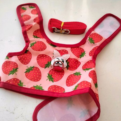 Fraoulenio bodysuit and leash new, size L for small dogs