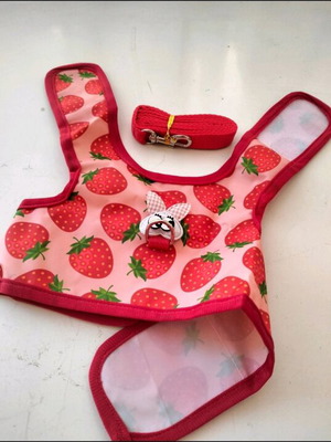 Fraoulenio bodysuit and leash new, size L for small dogs
