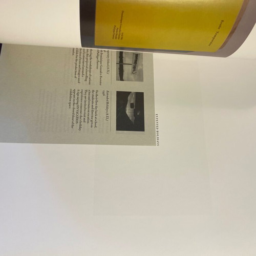 Pierre Huyghe Le Chateau de Turing & Celebration Park exhibition catalogs