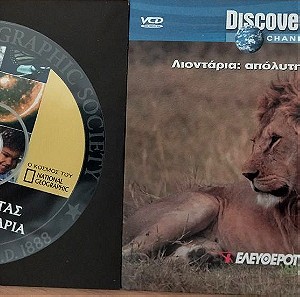 Λιοντάρια  Discovery - National Geographic ντοκυμαντέρ