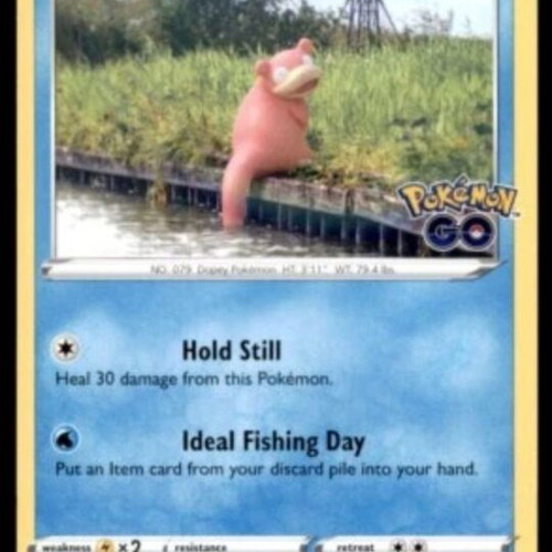 Pokemon card new