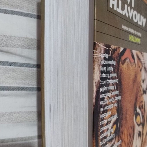 Apolyti Java book new edition in Greek