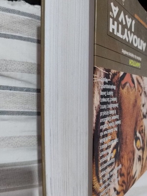 Apolyti Java book new edition in Greek