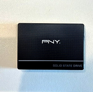 SSD PNY CS900 1TB SATA III 6GB/s