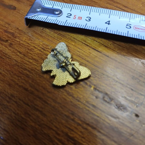 Butterfly brooch used with enamel in gold color