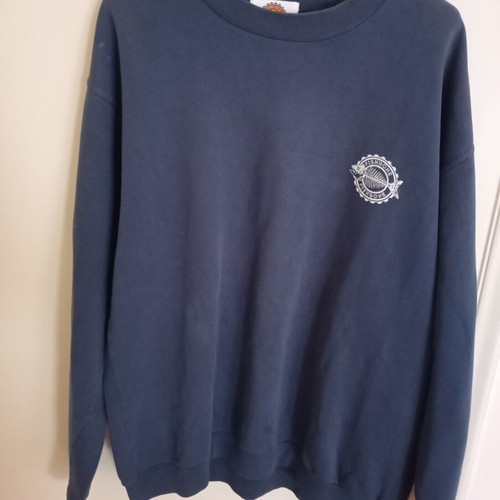 Vintage Fishbone sweatshirt used, size Large, blue with print