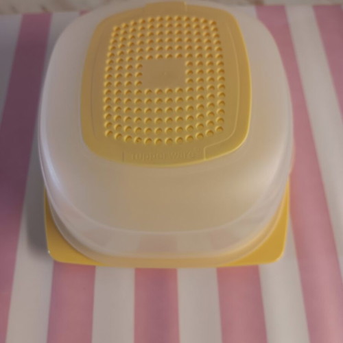 Cheese container new small size for longer cheese freshness